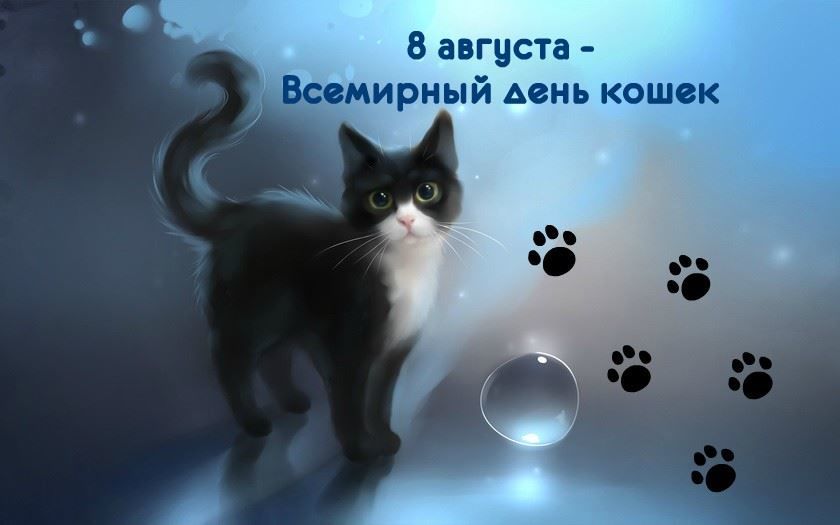 Праздники 8 августа 2021 года - Всемирный день кошек