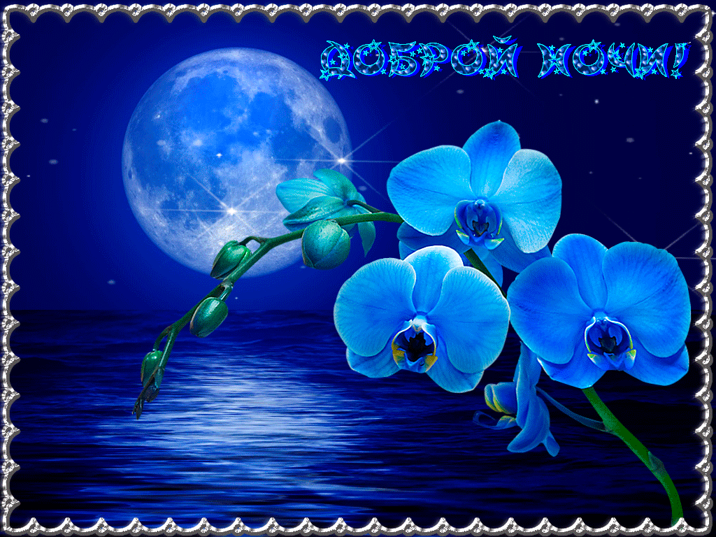 Доброй ночи и приятных снов, красивая открытка