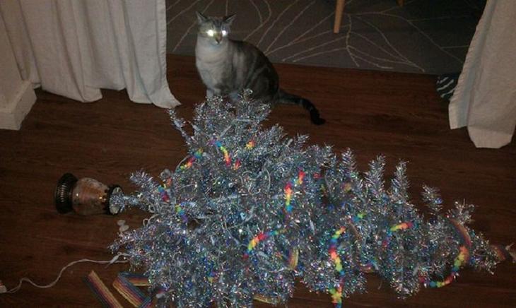 Прикольные фото с кошками и елками на Новый год