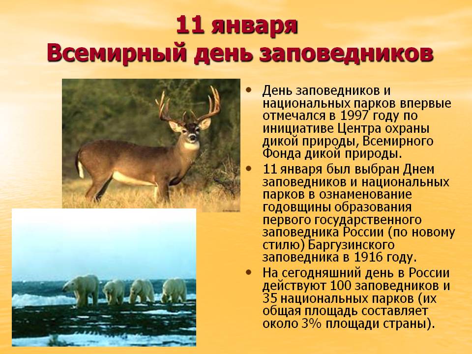 День заповедников и национальных парков России - 11 января