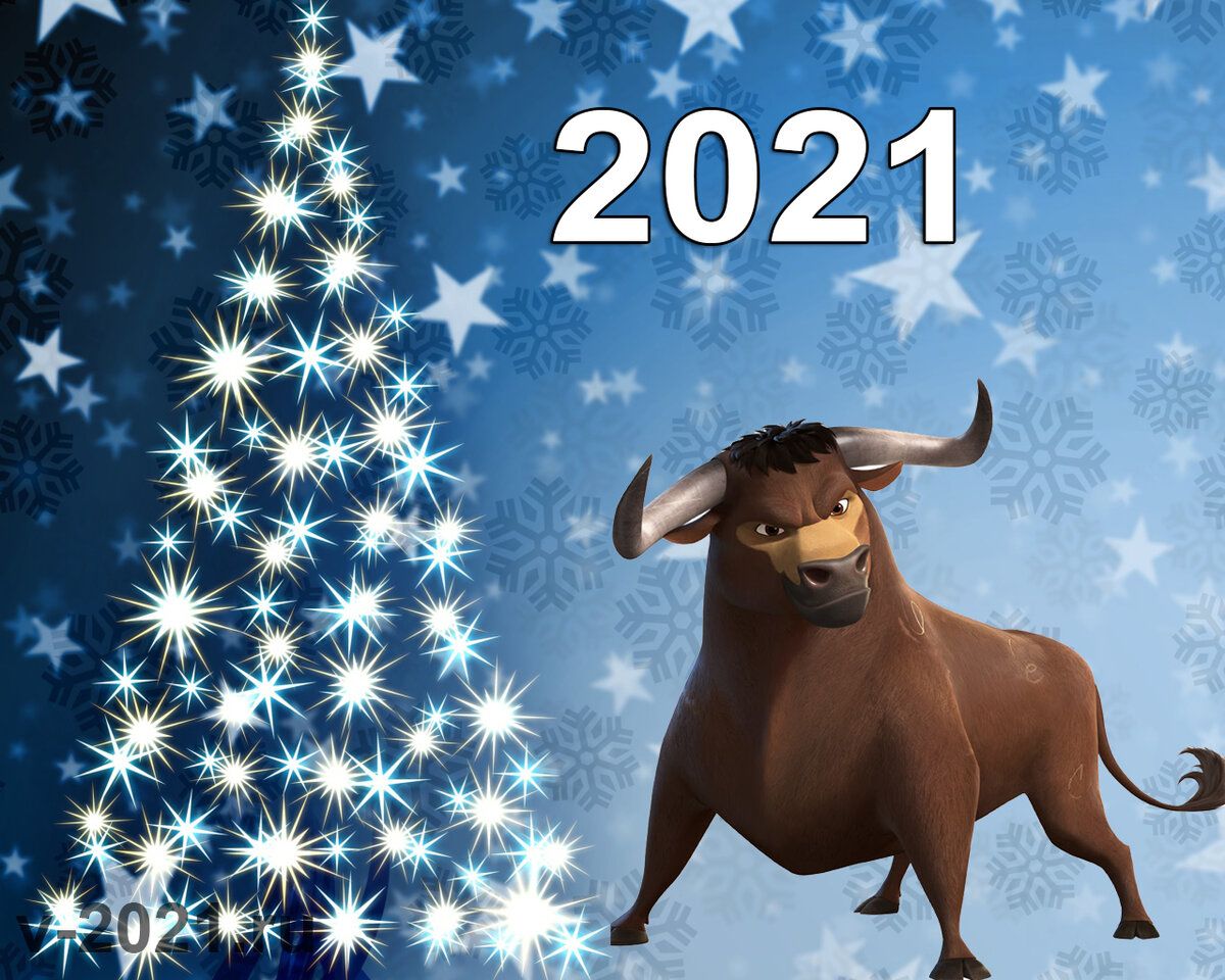 Новый 2021 год - год Быка