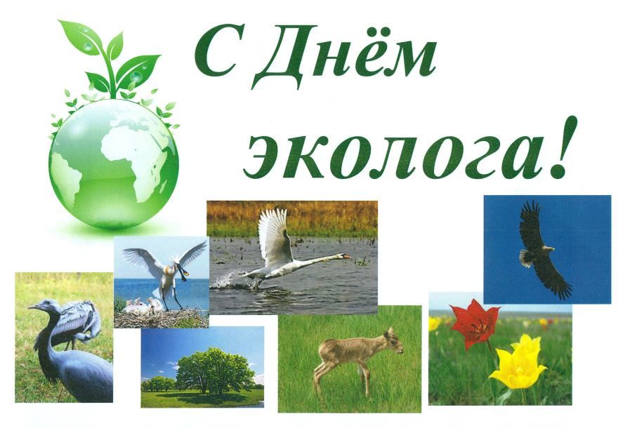 С днем эколога, открытки прикольные