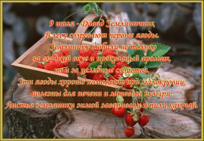 Праздники 9 июля 2021 года в России - Давид земляничник